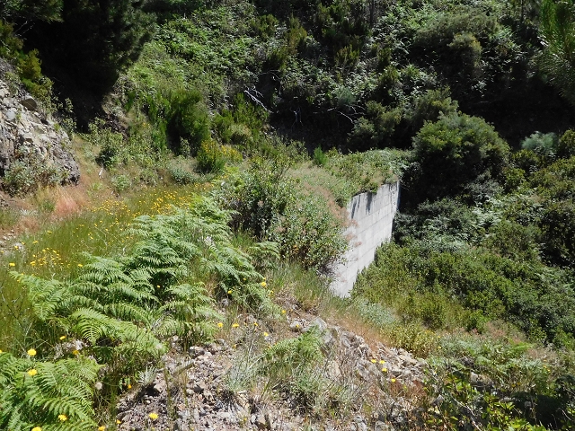 Levada de Marques Teixeira — Do desvio da pista de gravilha até Covas — foto 3