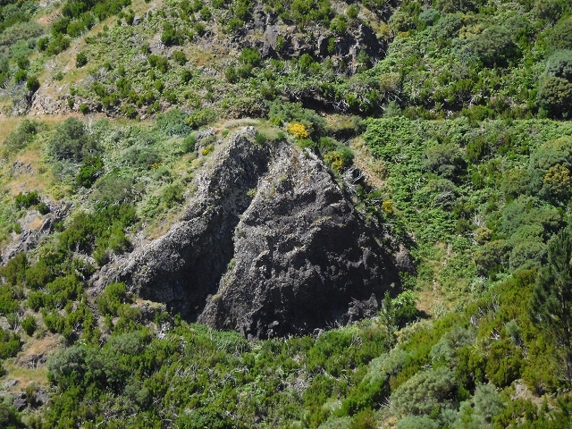 Levada de Marques Teixeira — Do desvio da pista de gravilha até Covas — foto 5