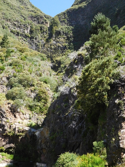 Levada de Marques Teixeira — Do desvio da pista de gravilha até Covas — foto 6