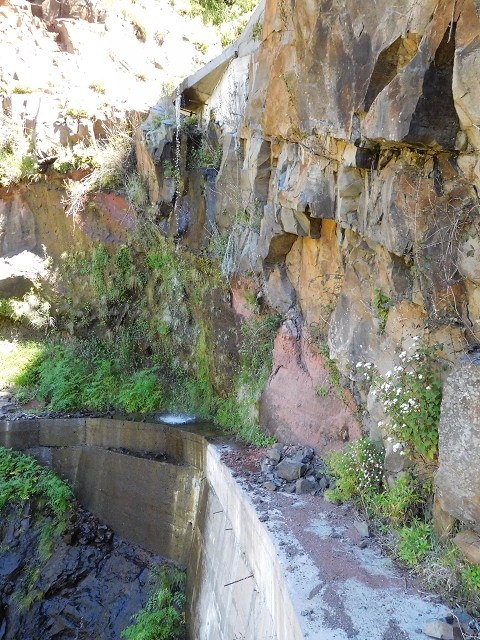 Levada de Marques Teixeira — Do desvio da pista de gravilha até Covas — foto 7