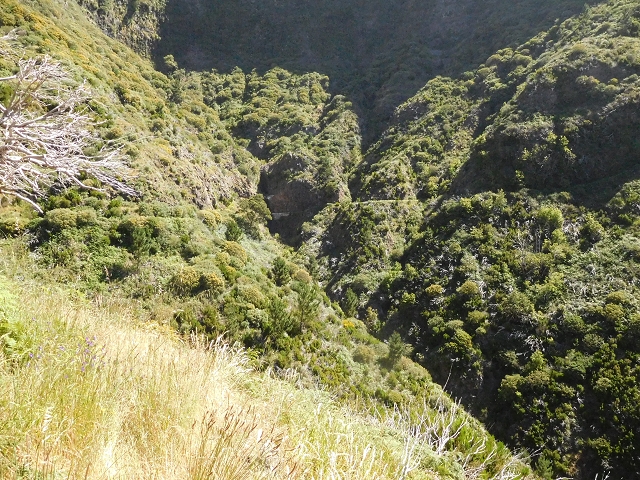 Levada de Marques Teixeira — Do desvio da pista de gravilha até Covas — foto 12