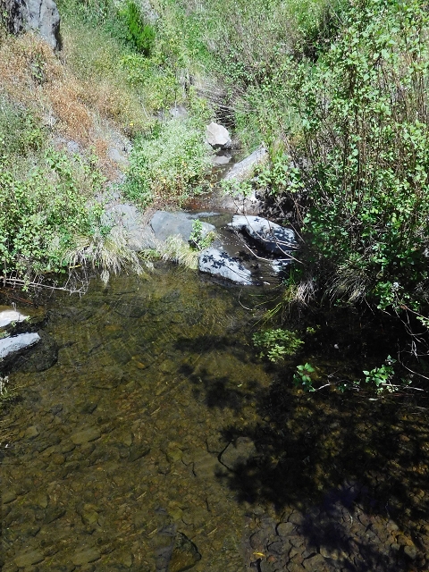 Levada de Marques Teixeira — Do desvio da pista de gravilha até Covas — foto 14