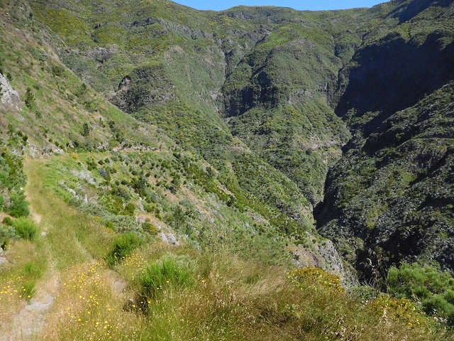 Levada de Marques Teixeira — Do desvio da pista de gravilha até Covas — foto 16