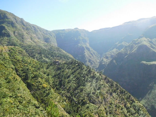 Levada de Marques Teixeira — Do desvio da pista de gravilha até Covas — foto 20