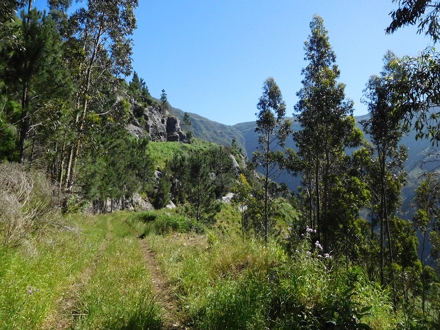 Levada de Marques Teixeira — Do desvio da pista de gravilha até Covas — foto 21