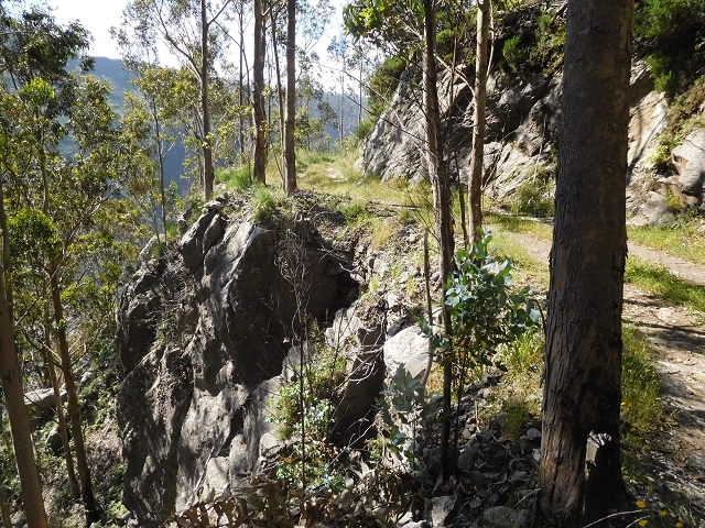 Levada de Marques Teixeira — Do desvio da pista de gravilha até Covas — foto 22