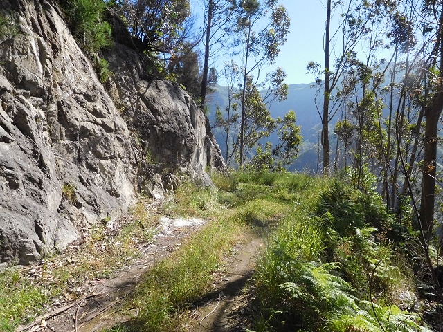 Levada de Marques Teixeira — Do desvio da pista de gravilha até Covas — foto 23