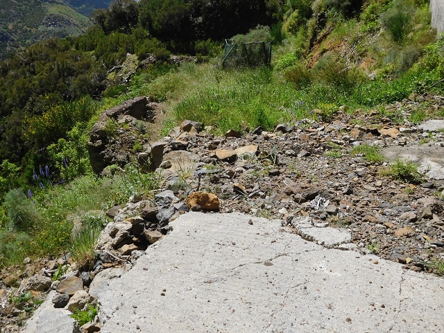 Levada de Marques Teixeira — Do Cascalho à Madre antiga — foto 5