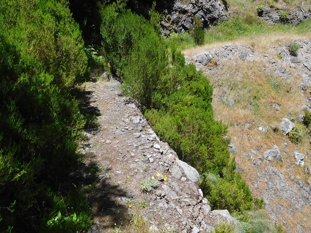 Levada de Marques Teixeira — Do Cascalho à Madre antiga — foto 6
