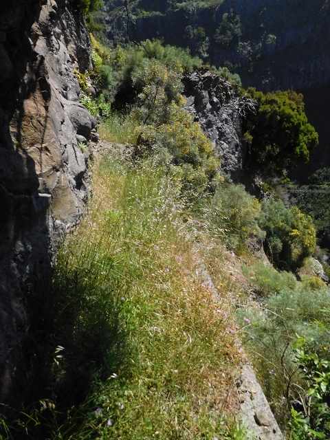 Levada de Marques Teixeira — Do Cascalho à Madre antiga — foto 8