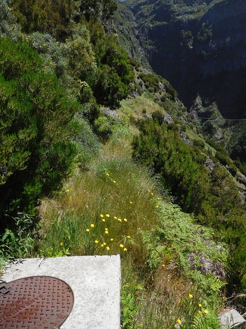 Levada de Marques Teixeira — Do Cascalho à Madre antiga — foto 9