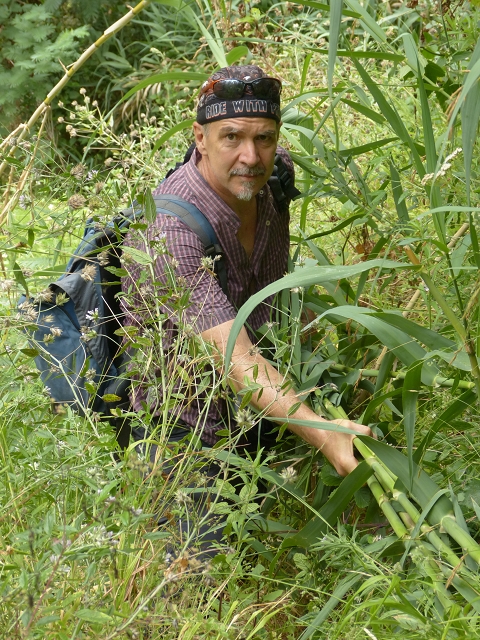 Levada do Coronel — Schilfrohrabstieg 2013 und heute — Foto 1