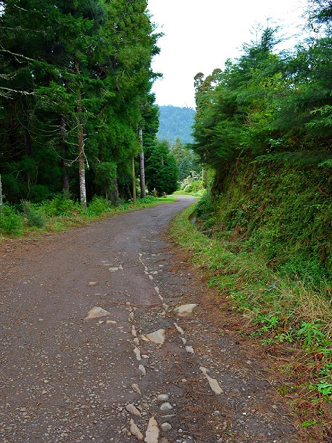 Levada da Portela — Levada seca até Lamaceiros — foto 2