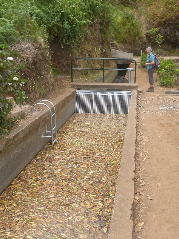 Levada (da Ribeira) da Janela — photo 28