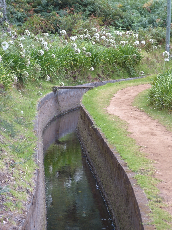 Levada (da Ribeira) da Janela — photo 33
