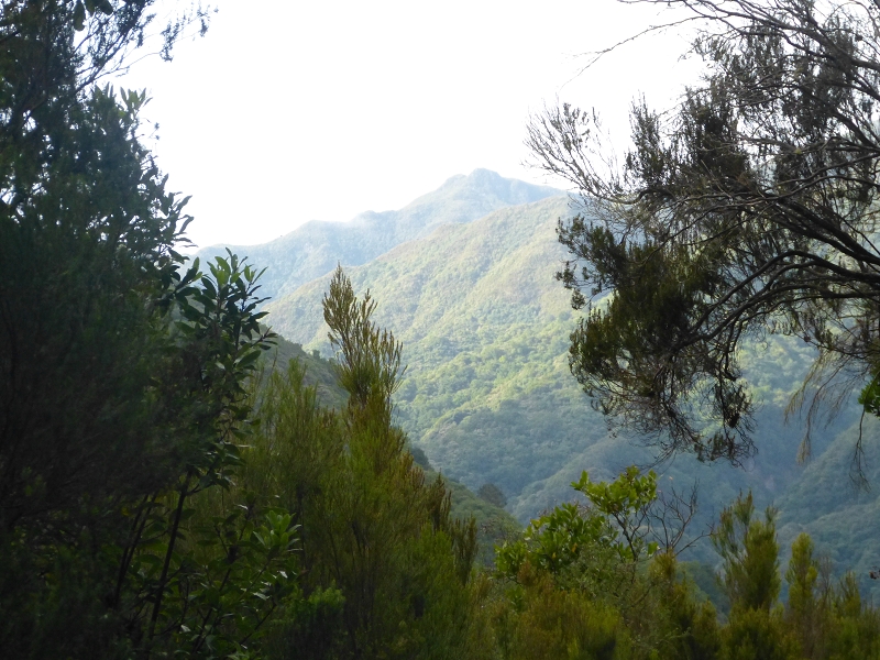Levada (da Ribeira) da Janela — photo 31