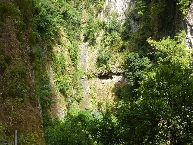 Levada (da Ribeira) da Janela — photo 26