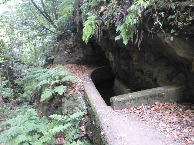 Levada (da Ribeira) da Janela — photo 22
