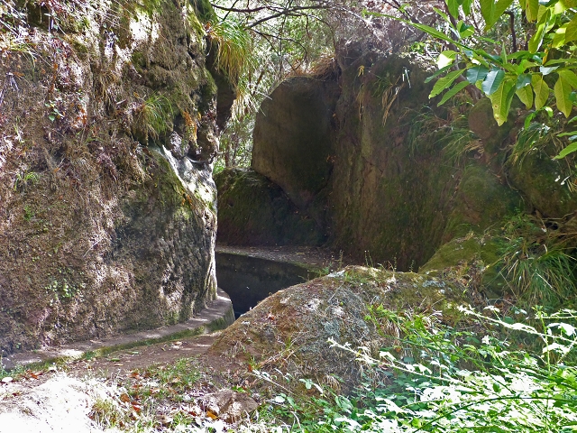 Levada (da Ribeira) da Janela — photo 23