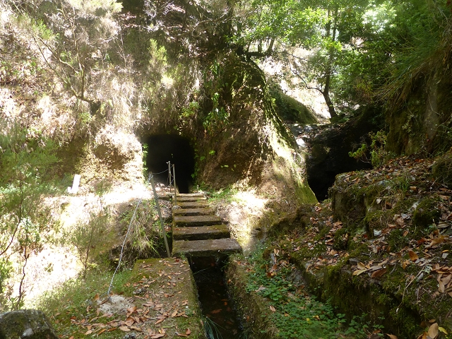Levada (da Ribeira) da Janela — photo 6