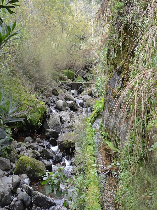 Levada da Ribeira do Passo — foto 1