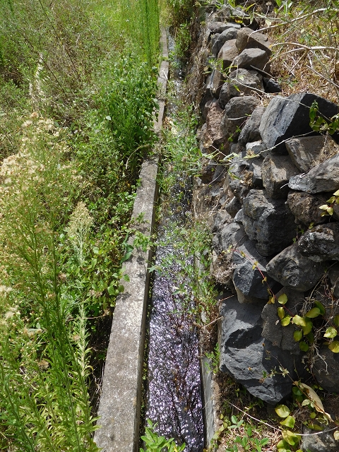 Levada da Ribeira do Passo — foto 3