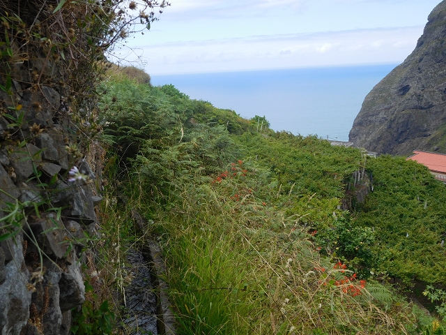 Levada da Ribeira do Passo — foto 22