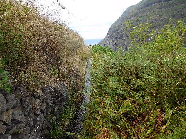Levada da Ribeira do Passo — foto 24