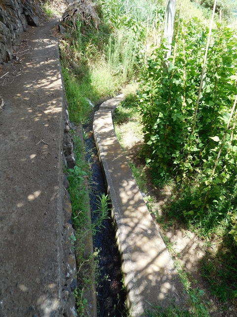 Levada da Ribeira do Passo — foto 4