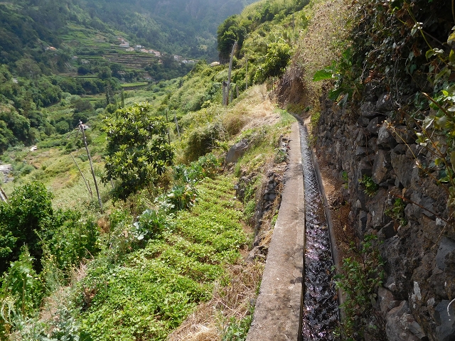 Levada da Ribeira do Passo — foto 7