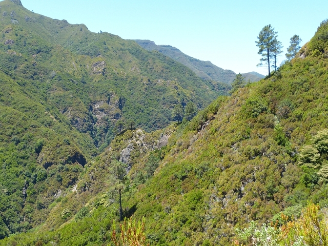 Levada da Rocha Vermelha — Seguindo até ao túnel e para o lado sul — foto 3
