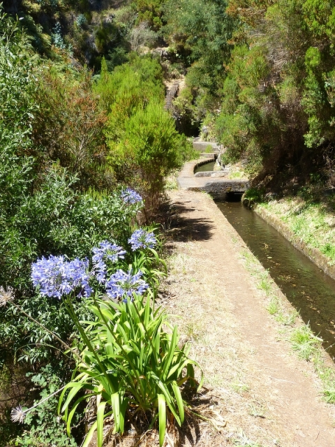Levada da Rocha Vermelha — Seguindo até ao túnel e para o lado sul — foto 9