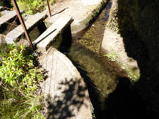 Levada da Rocha Vermelha — Até à Levada do Seixal — foto 5