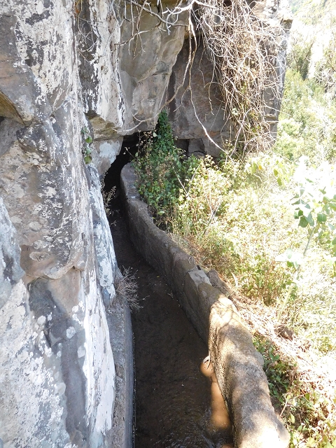 Levada da Roda — Von der Zwischenmadre zur ersten Wassermühle — Foto 10