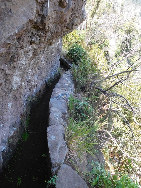 Levada da Roda — Von der Zwischenmadre zur ersten Wassermühle — Foto 12