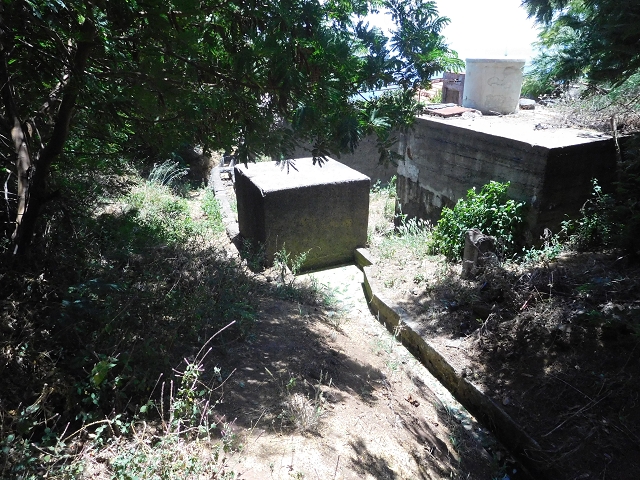 Levada da Roda — Von der Zwischenmadre zur ersten Wassermühle — Foto 14