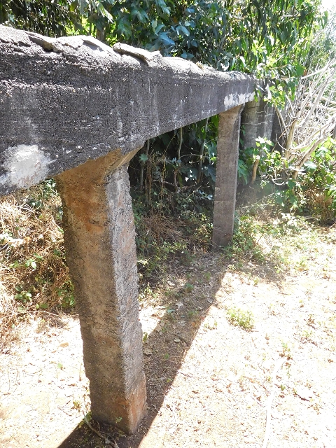 Levada da Roda — Von der Zwischenmadre zur ersten Wassermühle — Foto 16