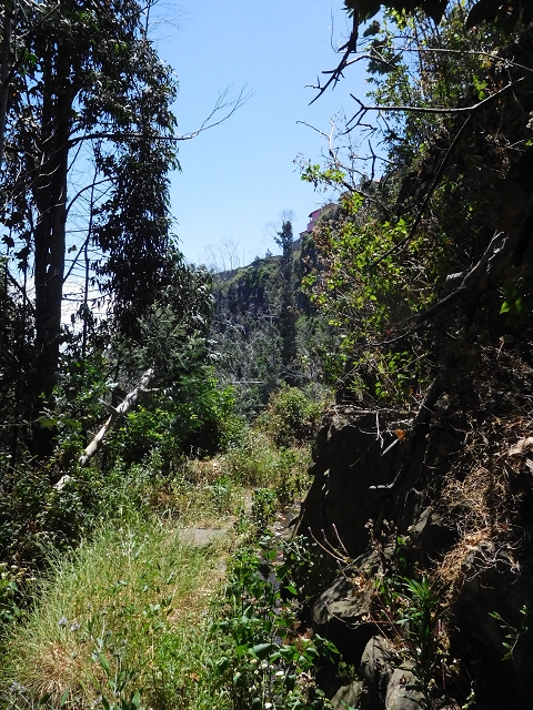 Levada da Roda — Von der Zwischenmadre zur ersten Wassermühle — Foto 5