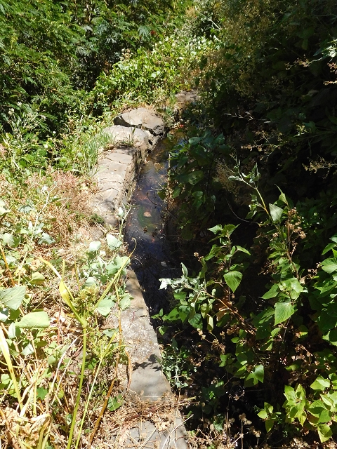 Levada da Roda — Von der Zwischenmadre zur ersten Wassermühle — Foto 7