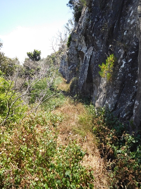 Levada da Roda — Von der Zwischenmadre zur ersten Wassermühle — Foto 8