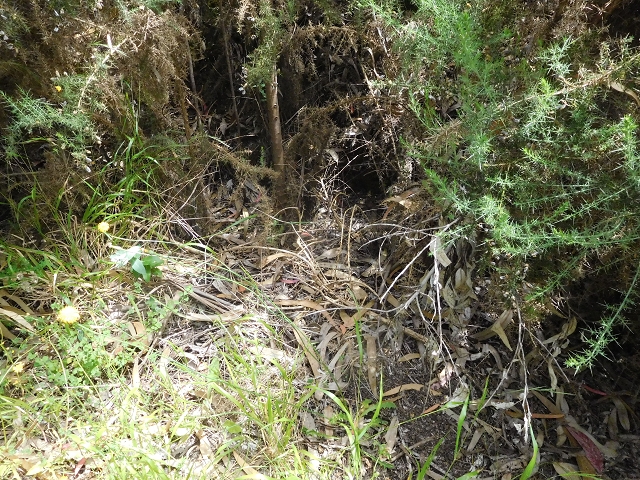 Levada da Rouca — Verfallener Endast bei Fontainhas — Foto 2