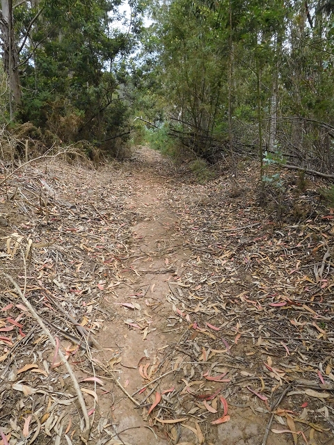 Levada da Rouca — Verfallener Endast bei Fontainhas — Foto 5