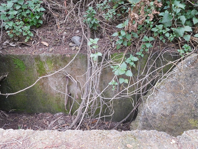 Levada da Rouca — Verfallener Endast bei Fontainhas — Foto 8