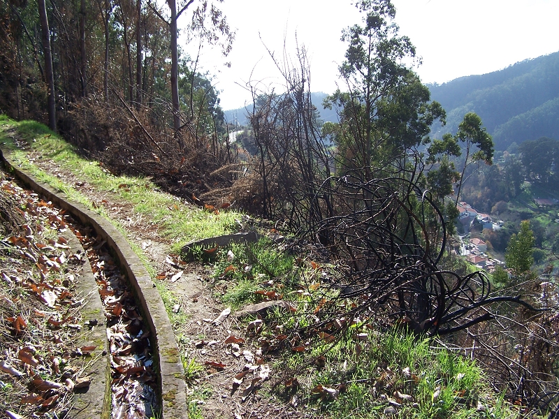 Levada da Rouca — Ramal do Jardim da Serra — Foto 5