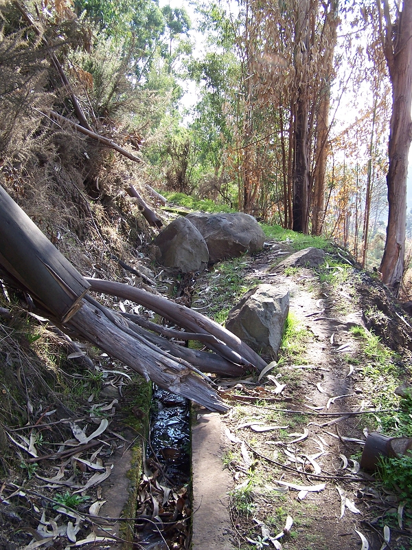 Levada da Rouca — Ramal do Jardim da Serra — Foto 9