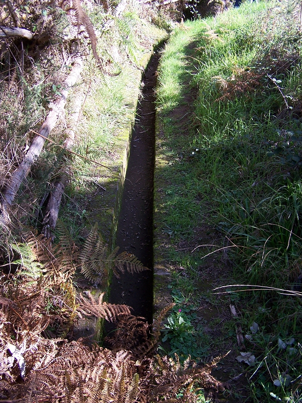 Levada da Rouca — Ramal do Jardim da Serra — Foto 10