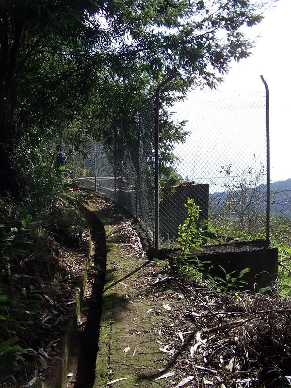 Levada da Rouca — Ramal do Jardim da Serra — Foto 11