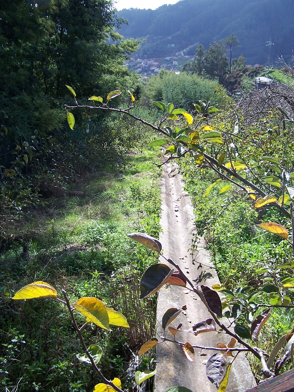 Levada da Rouca — Ramal do Jardim da Serra — Foto 12