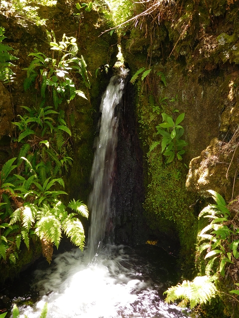 da Ponta do Pargo — A Madre nova superior e o ramo superior — foto 5
