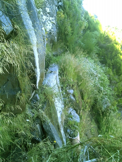 (da Ponta do Sol) — Da segunda Madre ao ponto de derrocada — foto 11